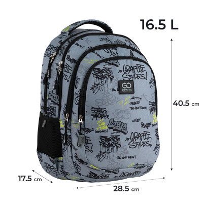 Рюкзак шкільний GoPack Teens 162M-4 (GO25-162M-4)