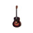 Гітара електроакустична Taylor Guitars 50th Anniversary GS Mini-e Rosewood SB LTD (236873)