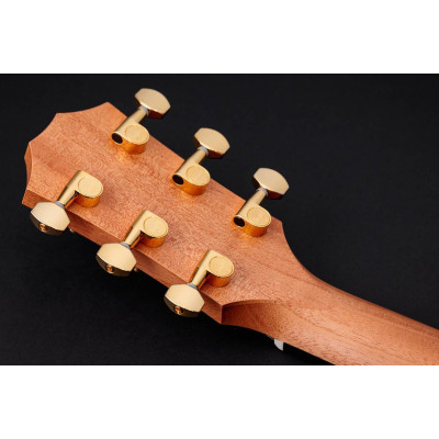 Гітара електроакустична Taylor Guitars 50th Anniversary GS Mini-e Rosewood SB LTD (236873)