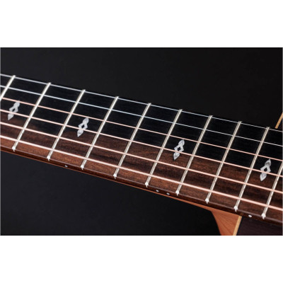 Гітара електроакустична Taylor Guitars 50th Anniversary GS Mini-e Rosewood SB LTD (236873)