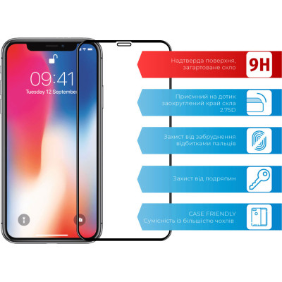 Скло захисне ACCLAB Full Glue Apple iPhone X/XS/11 Pro (1283126508189)