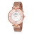 Наручний годинник Daniel Klein DK12178-2