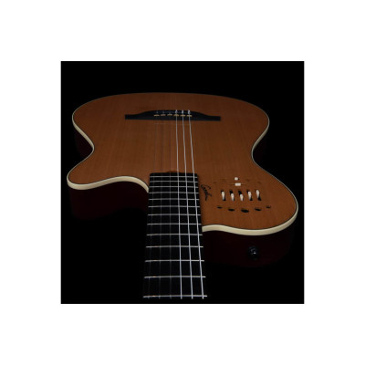 Гітара класична Godin Multiac Grand Concert Deluxe (235918)