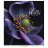 Зошит Школярик Sun Flower 48 аркушів клітинка (048-3456K)