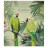 Зошит Школярик Amazing birds 96 аркушів клітинка (096-3402K)