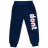 Спортивний костюм дитячий Smile флисовий (8168-982G-blue)