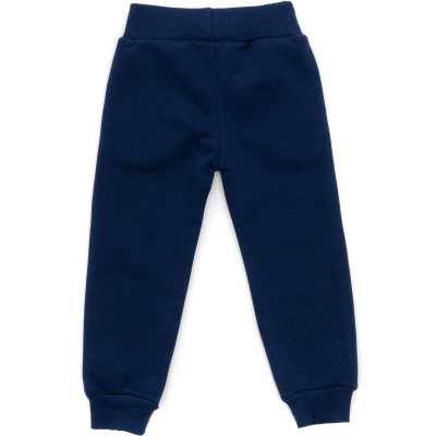 Спортивний костюм дитячий Smile флисовий (8168-982G-blue)