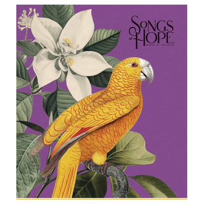 Зошит Школярик Birds 96 аркушів клітинка (096-3410K)