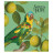Зошит Школярик Birds 96 аркушів клітинка (096-3410K)