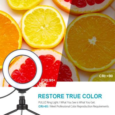Набір блогера Puluz Ring USB LED lamp PU378 6.2&quot; (PU378)