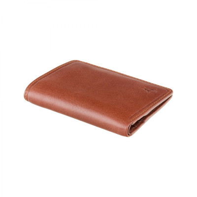 Гаманець Visconti TSC39 Xavi з RFID Tan (TSC39 TAN)