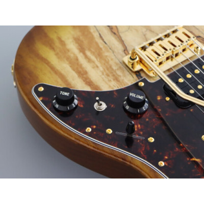 Електрогітара FGN Odyssey Expert Series Hojicha Burst (EOS2-EW1-RM/HCB)