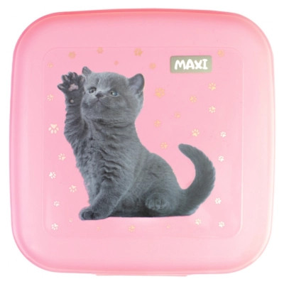 Ланч-бокс дитячий Maxi 850 мл (MX98138)