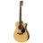 Гітара акустична Yamaha FS100C Natural