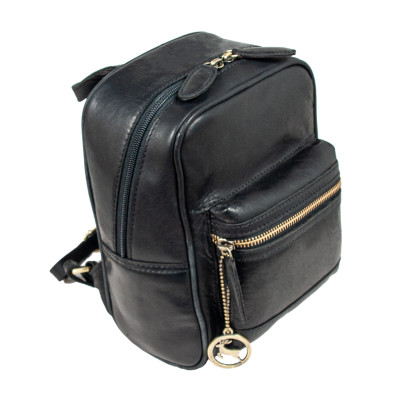 Рюкзак туристичний Ashwood T87 Black