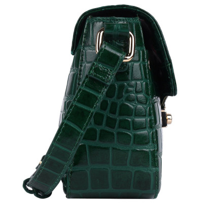 Сумка Ashwood C50 Green