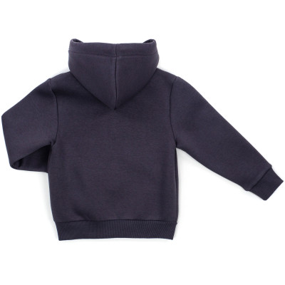 Кофта дитяча Cloise флісова (CL0125009-128-gray1)
