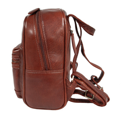 Рюкзак туристичний Ashwood T87 Chestnut