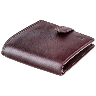 Гаманець Visconti TSC41 Massa з RFID Brown (TSC41 BRN)