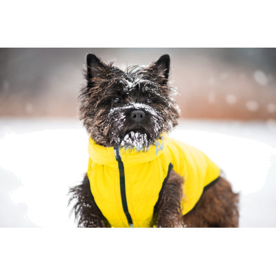 Курточка для тварин Collar AiryVest &quot;Colors of freedom&quot; XS 25 (4440-4020)
