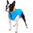 Курточка для тварин Collar AiryVest &quot;Colors of freedom&quot; XS 25 (4440-4020)