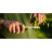 Мультитул Leatherman Bond Mossy Slate (833309)