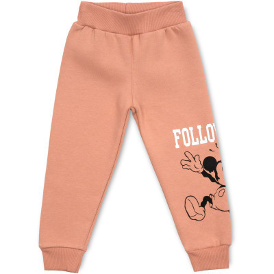 Спортивний костюм дитячий Smile флісовий (23197-104G-brown)