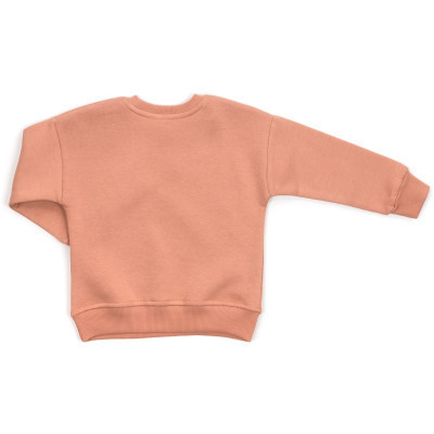 Спортивний костюм дитячий Smile флісовий (23197-104G-brown)
