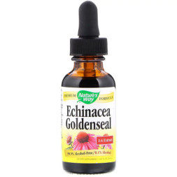 Трави Nature's Way Ехінацея і Гідрастіс, Echinacea Goldenseal, без спирту, 30 м (NWY-14663)