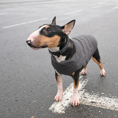 Жилет для тварин Pet Fashion &quot;E.Vest&quot; XS-2 сірий (4823082424368)