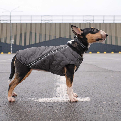 Жилет для тварин Pet Fashion &quot;E.Vest&quot; XS-2 сірий (4823082424368)
