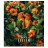 Зошит Школярик Bird house 96 аркушів клітинка (096-3478K)