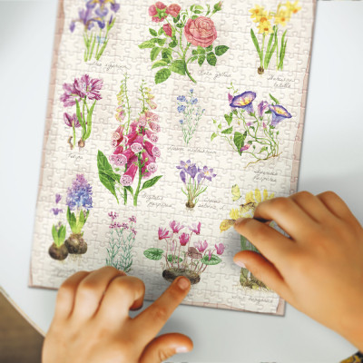 Пазл DoDo Easy-L Ботаніка. Квітковий сад (300614)