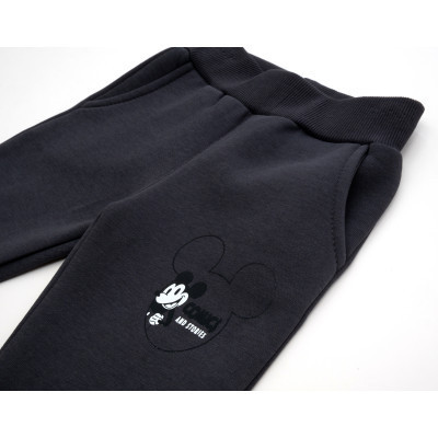 Спортивний костюм дитячий Smile флисовий (23163-110B-gray)
