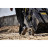 Ящик для інструментів DeWALT комплект TOUGHSYSTEM 2.0, 3 ящики на візку (DWST83401-1)