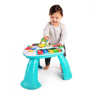 Ігровий розвиваючий центр Baby Einstein Discovering Music (90592)