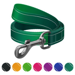 Повідок для собак WAUDOG Nylon Mono світловідбивний, S, Ш 15 мм, Д 200 см, зелений (463518)