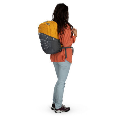 Рюкзак туристичний Osprey Quasar 26 pashmina/tan concrete O/S (009.3647)