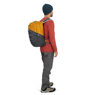 Рюкзак туристичний Osprey Quasar 26 pashmina/tan concrete O/S (009.3647)