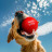 Іграшка для собак WAUDOG Fun Red Ball 70 мм (6001)