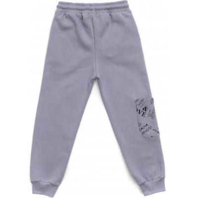 Спортивний костюм дитячий Toontoy на флісі (16794-158G-gray)