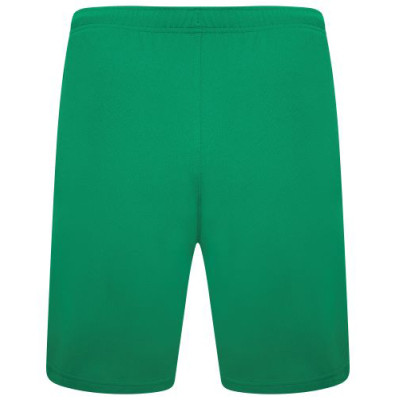 Шорти Puma teamRISE Short 704942-05 зелений S (4063699209822)