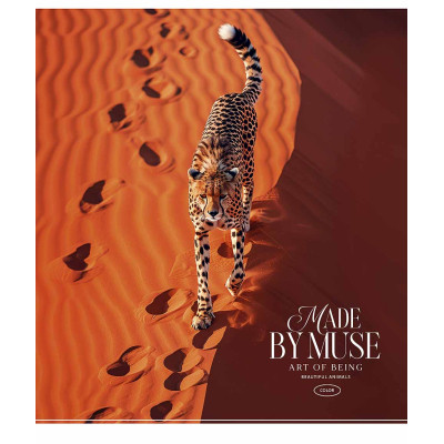 Зошит Школярик Art of being 96 аркушів клітинка (096-3512K)