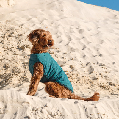 Жилет для тварин Pet Fashion E.Vest морська хвиля XL (4823082424184)