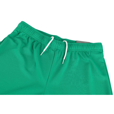 Шорти Puma teamRISE Short 704942-05 зелений XL (4063699209853)