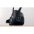 Пилосос Bosch BGBS2BA1P