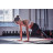 Килимок для фітнесу Adidas Fitness Mat Уні 173 x 61 x 0,7 см Червоний (ADMT-11014RD)