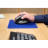 Мишка Trust Bayo + Ergonomic Wireless/Bluetooth Black (25146)