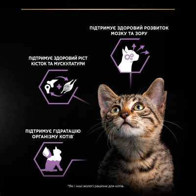 Вологий корм для кішок Purina Pro Plan Cat Nutrisavour Junior Для кошенят Мус з індичкою 75 г (8445290178862)