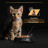 Вологий корм для кішок Purina Pro Plan Cat Nutrisavour Junior Для кошенят Мус з індичкою 75 г (8445290178862)